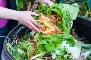 composting-waste-from-the-kitchen