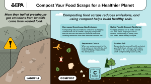Compost Your Food Scraps for a Healthier Planet